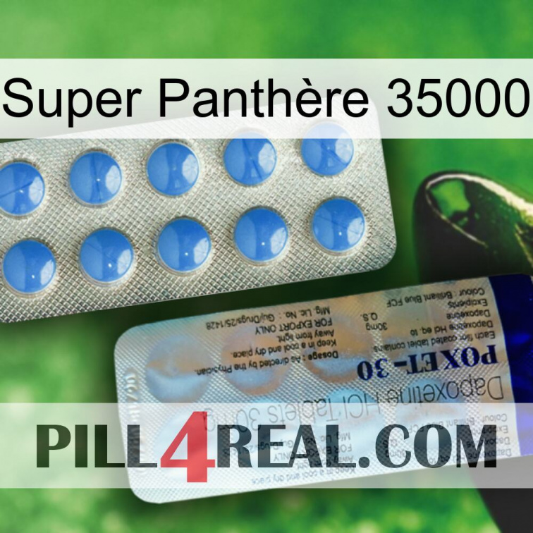 Super Panthère 35000 39